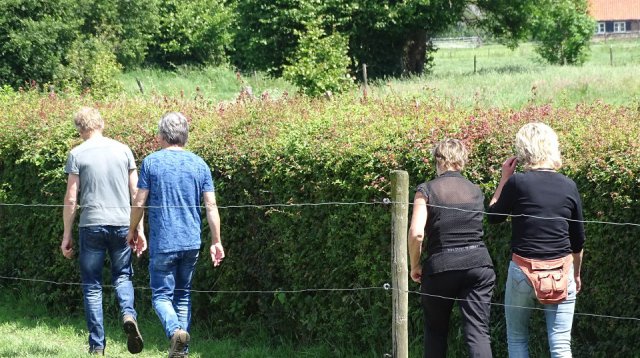 Singels en Essen wandeltocht (zondag  9 juni 2019)
